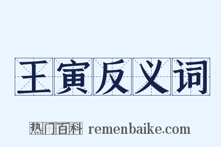 王寅反义词是什么意思的图片
